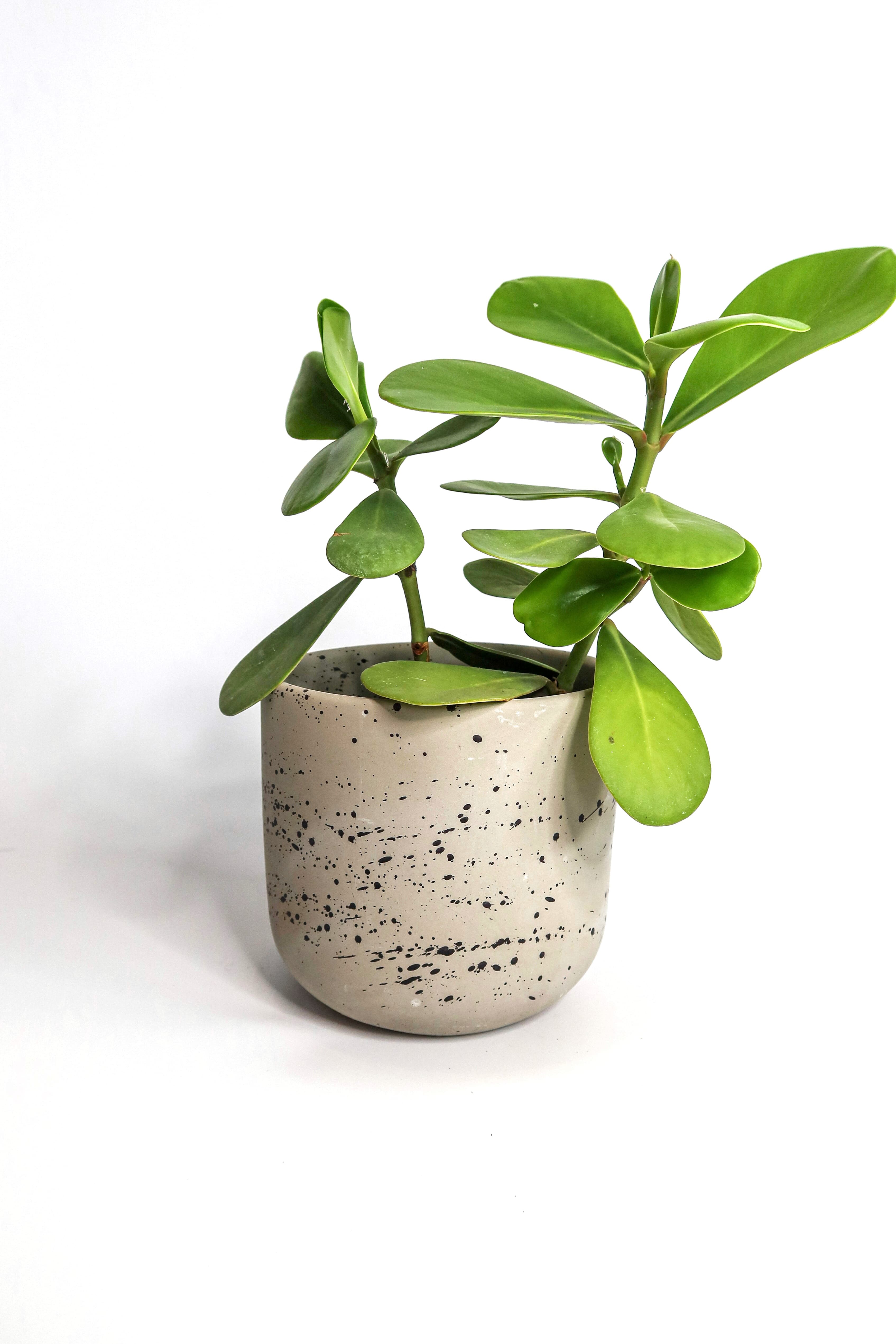 Osłonka betonowa Dots — nakrapiany wzór terrazzo, handmade